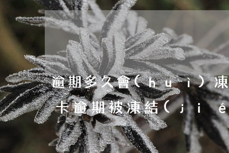 逾期多久會(huì)凍結(jié)信用卡（逾期被凍結(jié)信用卡怎么辦上海）