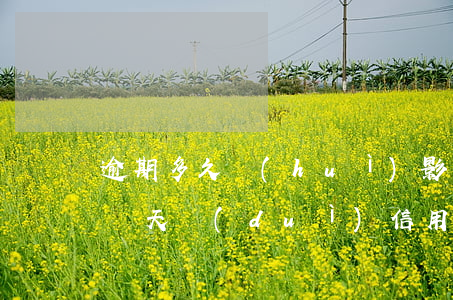 逾期多久會(huì)影響信用(不小心逾期幾天,對(duì)信用影響大嗎?)