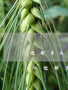 逾期多久會(huì)被停止用信用卡(信用卡 逾期多久)