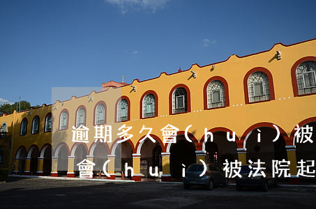 逾期多久會(huì)被告上法院(逾期多久會(huì)被法院起訴)