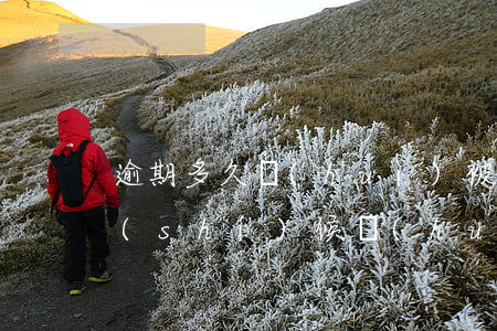 逾期多久會(huì)被告（逾期大概什么時(shí)候會(huì)起訴案例）