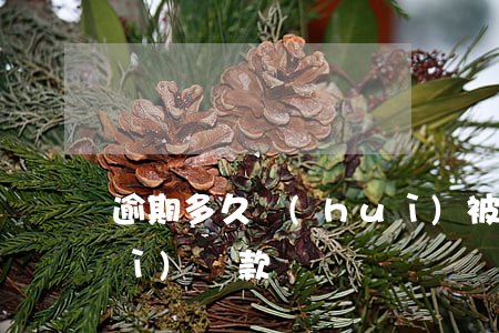 逾期多久會(huì)被罰息(逾期會(huì)罰款嗎)