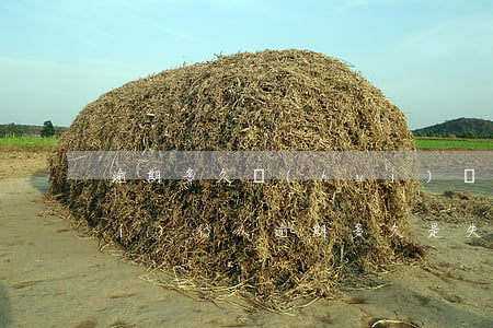 逾期多久會(huì)變成失信被執(zhí)行人（逾期多久是失信執(zhí)行人）