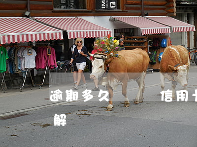 逾期多久會凍結信用卡（信用卡逾期多久可以解凍）