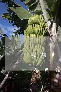 逾期多久會加全國失信名單(逾期多久會被列入失信名單)