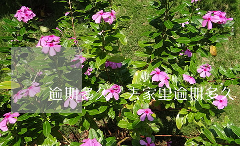 逾期多久會去家里(逾期多久會去家里)