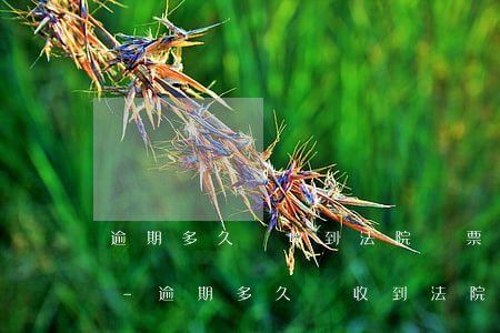 逾期多久會收到法院傳票網(wǎng)貸-逾期多久會收到法院傳票網(wǎng)貸