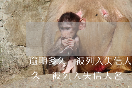 逾期多久會被列入失信人名單-網貸逾期多久會被列入失信人名單
