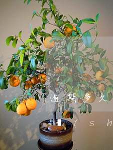 逾期多久會被列為被執(zhí)行人(逾期時(shí)間長了會被強(qiáng)制執(zhí)行嗎)