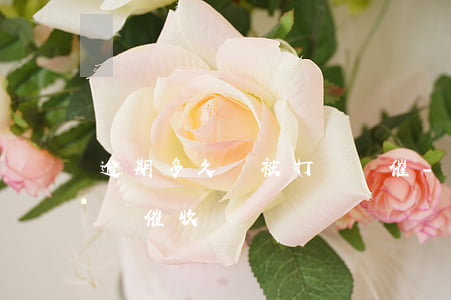 逾期多久會被打電話催-逾期多久會被打電話催收