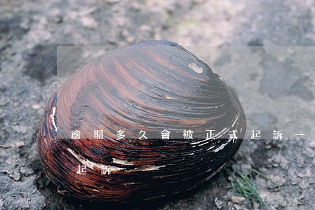 逾期多久會被正式起訴 一般逾期幾個月會被起訴