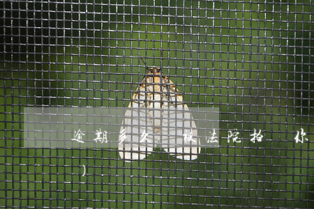 逾期多久會被法院拍賣你的家產(chǎn)