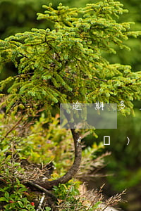逾期多久會被起訴法院傳票-逾期多久發(fā)傳票
