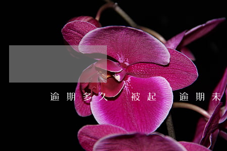 逾期多久會被起訴（逾期未還法院起訴會多還嗎）