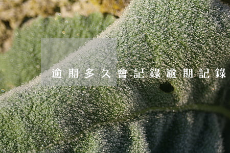 逾期多久會記錄(逾期記錄多久沒有)