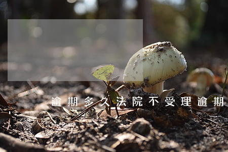 逾期多久法院不受理（逾期了法院會受理嗎）
