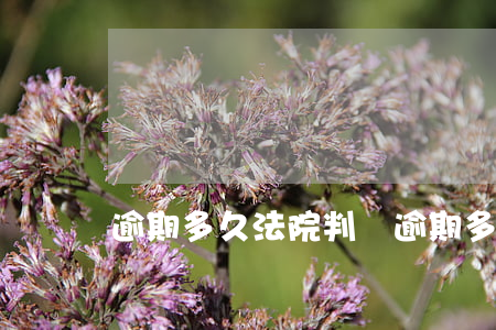 逾期多久法院判決（逾期多久法院判決）
