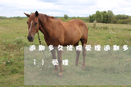 逾期多久法院受理(逾期多久法院才會(huì)受理)