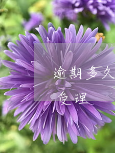 逾期多久法院才會受理-逾期多久法院才會受理