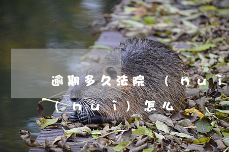 逾期多久法院會(huì)收房(逾期收房會(huì)怎么樣)