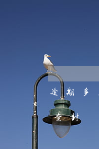逾期多久法院查封房产 房子贷款逾期多久会查封
