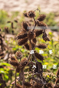 逾期多久申報(bào)會(huì)被列入非正常戶-逾期多久申報(bào)會(huì)被列入非正常戶名