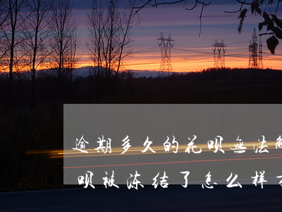 逾期多久的花呗无法解冻(没有逾期支付宝花呗被冻结了,怎么样才可以解封)
