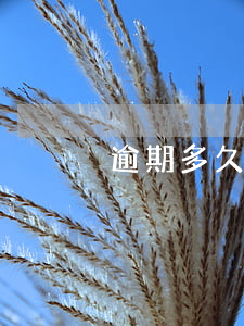 逾期多久算可疑貸款(可疑貸款逾期多少天)