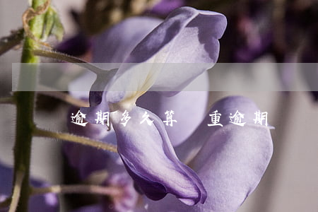 逾期多久算嚴重逾期