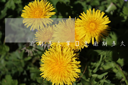 逾期多久算惡意(逾期多久算惡意)