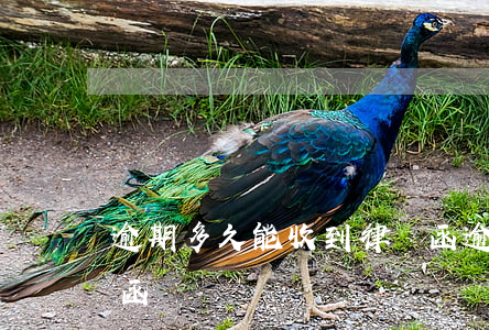 逾期多久能收到律師函(逾期多久能收到律師函)