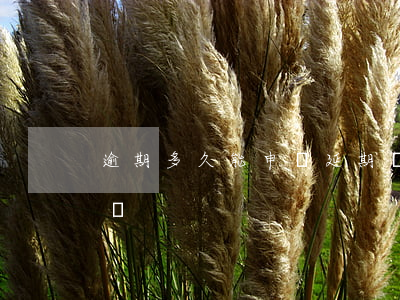 逾期多久能申請延期還款(還款可以申請延期嗎)