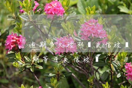 逾期多久被列為失信被執(zhí)行人(逾期等于失信被執(zhí)行人嗎)