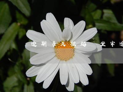 逾期多久被起訴坐牢(逾期多久會被判刑)