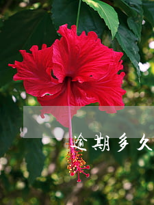 逾期多久被起訴流程(從逾期到起訴要多久)