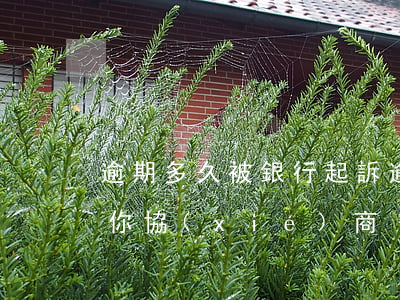 逾期多久被銀行起訴(逾期多久銀行會主動找你協(xié)商)