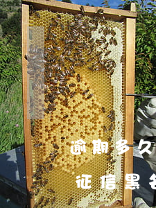 逾期多久證信黑名單(逾期多久進(jìn)征信黑名單)