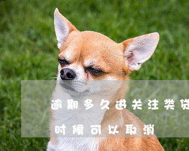 逾期多久进关注类贷款(贷款逾期被关注什么时候可以取消?)