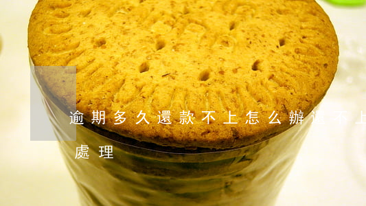 逾期多久還款不上怎么辦(還不上逾期后怎么處理)