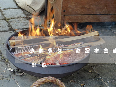 逾期多久還款是本金(逾期還款先還本金還是利息)