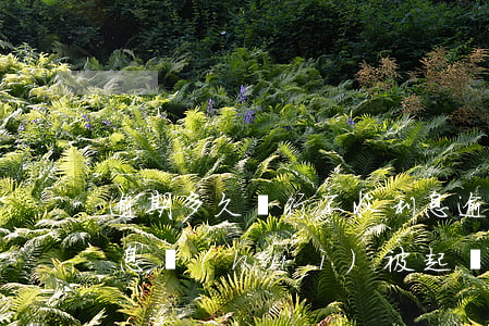 逾期多久銀行不收利息(逾期多久銀行不收利息會(huì)被起訴)