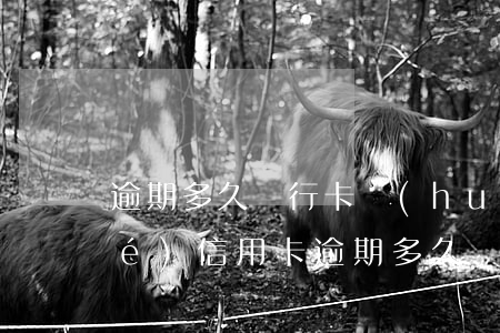 逾期多久銀行卡會(huì)被凍結(jié)（信用卡逾期多久會(huì)被凍結(jié)所有的卡）