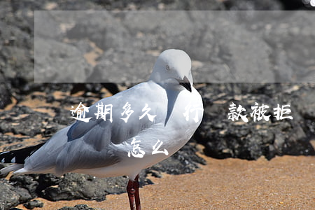 逾期多久銀行貸款被拒(銀行貸款逾期幾個小時會怎么樣)