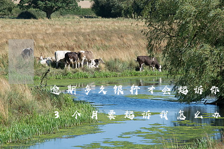 逾期多久银行才会起诉你浦发 浦发银行逾期3个月要起诉我怎么办