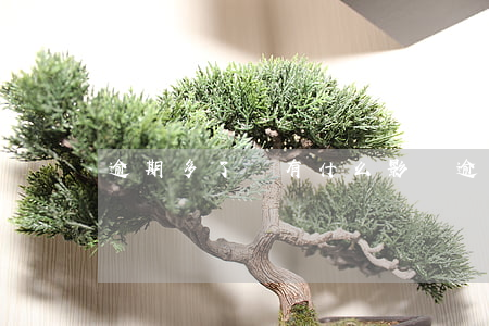逾期多了會有什么影響(逾期影響有多大)