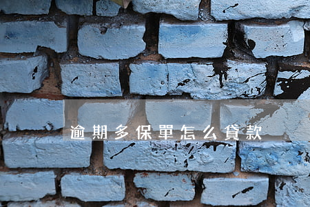 逾期多保單怎么貸款