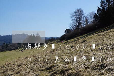 逾期多個(gè)網(wǎng)貸會(huì)怎么樣(多個(gè)網(wǎng)貸逾期怎么辦)
