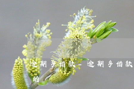 逾期多借款-逾期多借款3000馬上到賬的