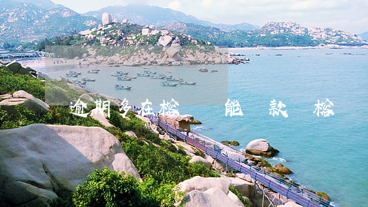 逾期多在榕樹貸能貸款嗎(榕樹貸款多久放款)