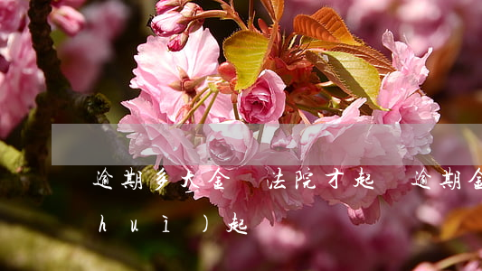 逾期多大金額法院才起訴（逾期金額多少會(huì)起訴）